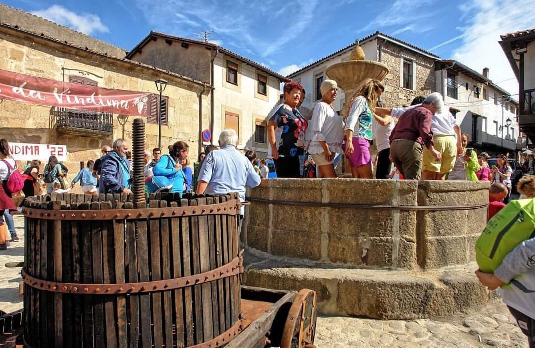 Fiesta vendimia 2