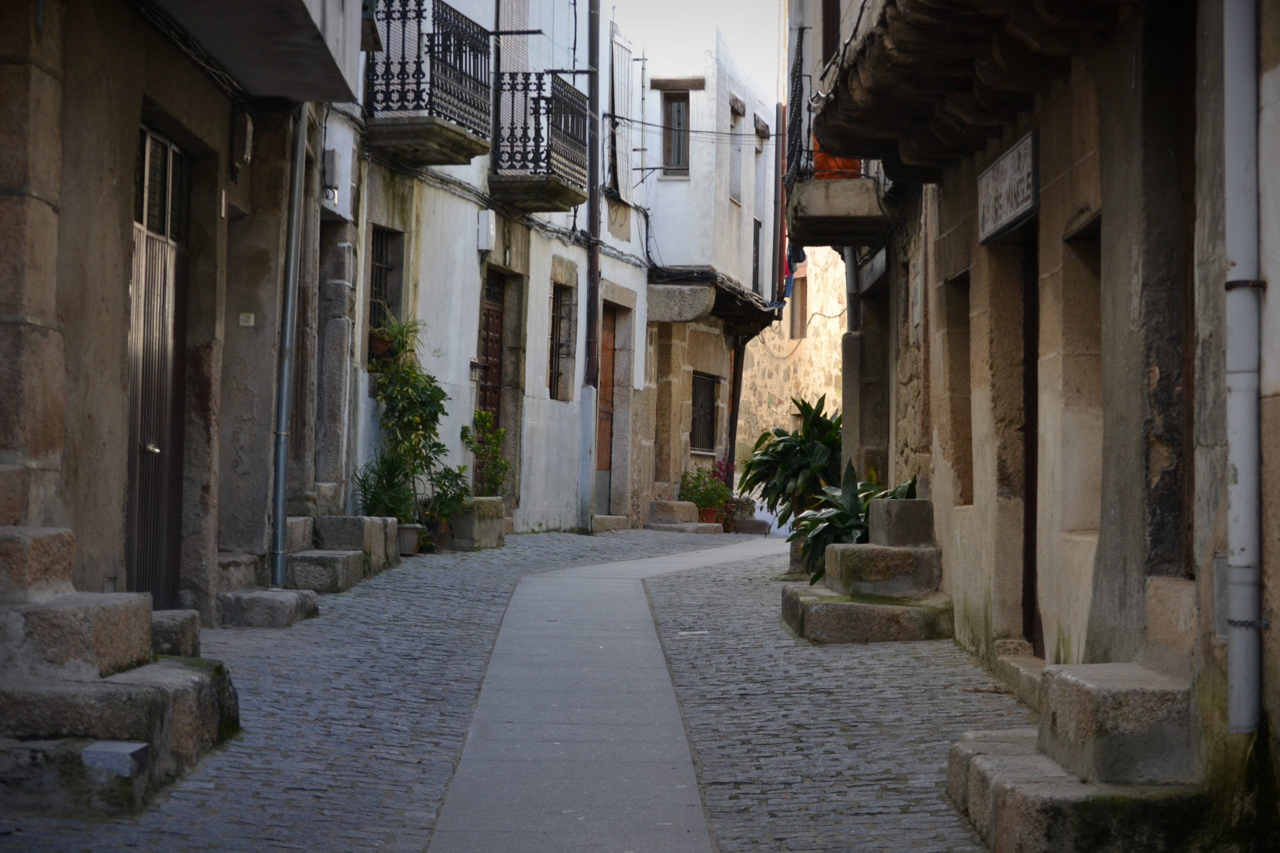San Martín de Trevejo