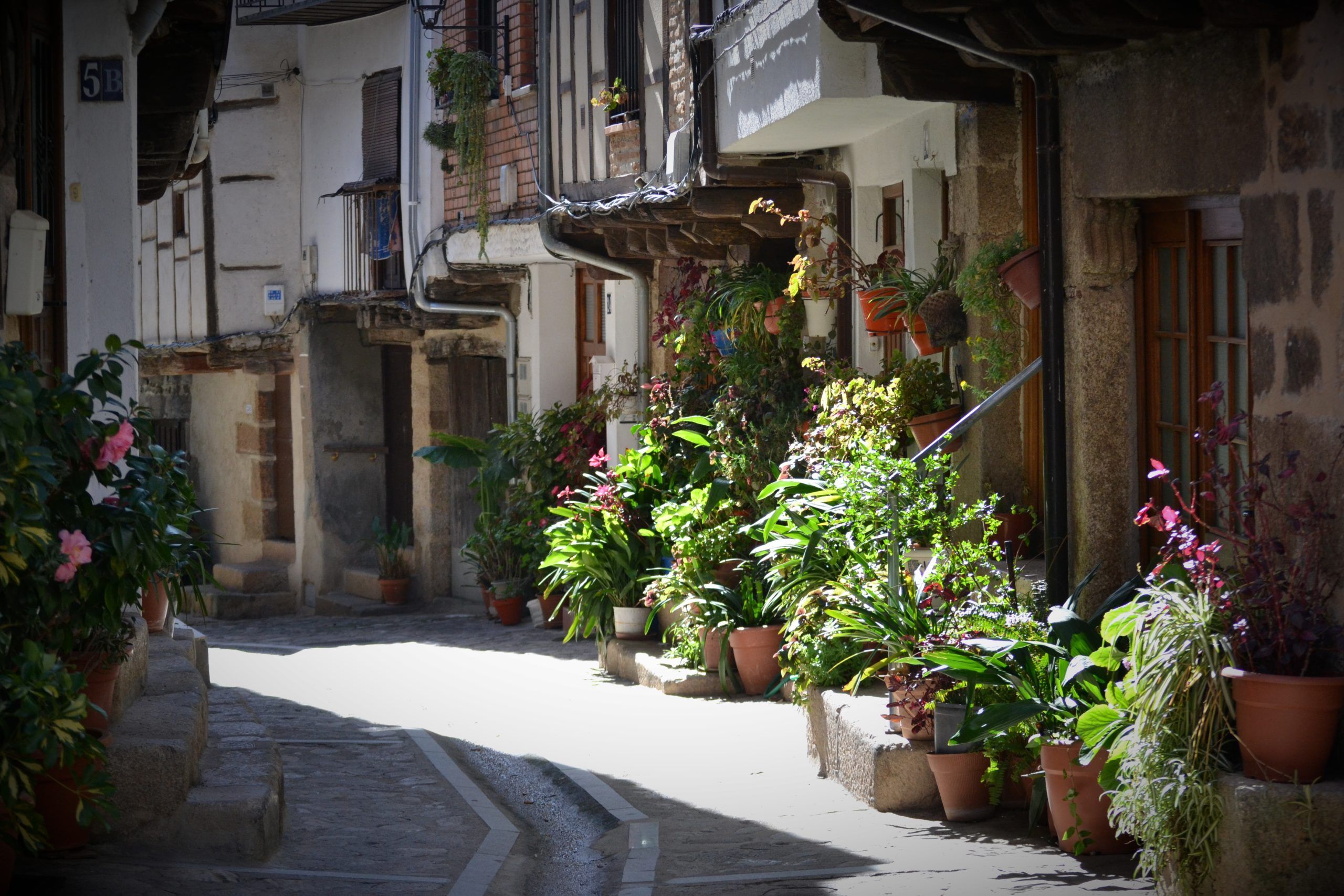 San Martin de Trevejo